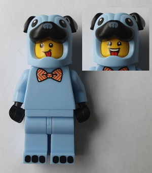 hol245
